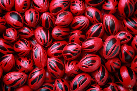 Nutmeg seeds background