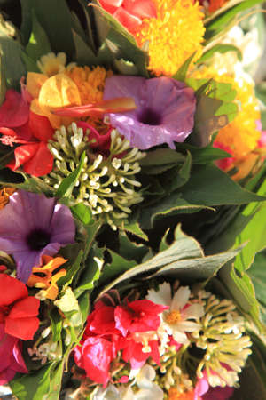A bunch of flowers with different colors