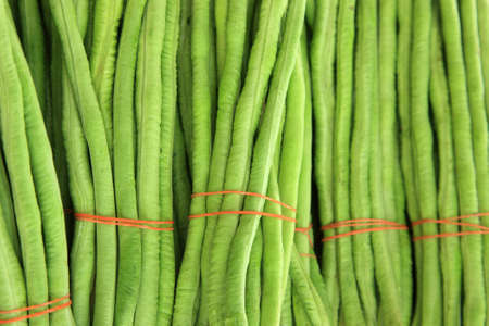 Bunches of green beans tied with red bandsの写真素材