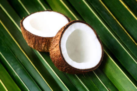 Open coconuts on a palm leaf backgroundの写真素材