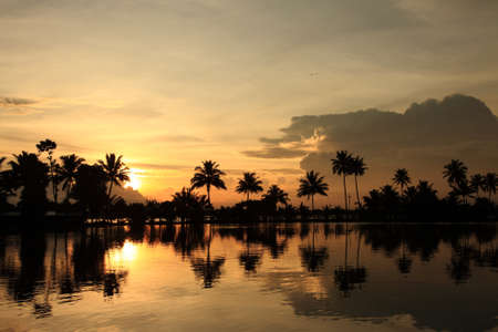 Sunsetting hours at backwaters of Kerala, India.の写真素材