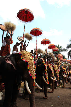THRISSUR, INDIA - MAY 12 ,2011- Decorated elephants stand in line for procession at Thrissur Pooram  in  Thrissur, India. Thrissur Pooram is the most popular elephant festival in India.のeditorial素材
