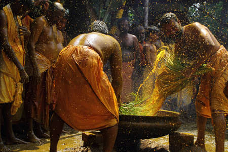 CHENGANNUR, INDIA - APR 13 ,2013-Devotees perform a turmeric bath during the festival at Amman temple  in Chengannur, Kerala,India. Turmeric bath is an old temple ritual of south Indiaのeditorial素材