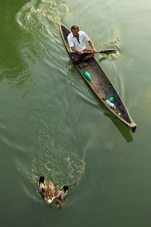 ALLEPPEY, INDIA - APR 03,2015- Unidentified duck farmer in a boat guides his ducks in the backwaters in Alleppey, India.Duck farming is a major activity in backwater regions of Alleppeyのeditorial素材