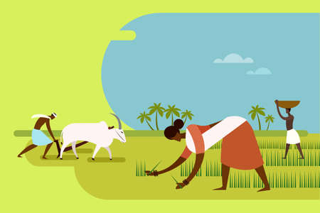 Illustration of farm workers planting paddy seedlings and plowing the field with bullocksのイラスト素材