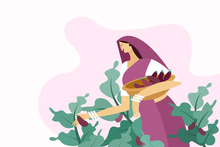 Illustration of a woman plucking brinjal fruits from the vegetable farmのイラスト素材