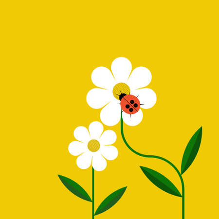 Illustration of a ladybug sitting on white flowerのイラスト素材