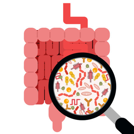 Gut microbiome concept. Illustration of a magnifying glass examining the human intestine microbiotaのイラスト素材