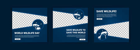 World Wildlife Day. Social media templates for World Wildlife Day. Education to get to know wildlife.のイラスト素材