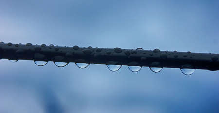 drops of water on a rope. macroの写真素材
