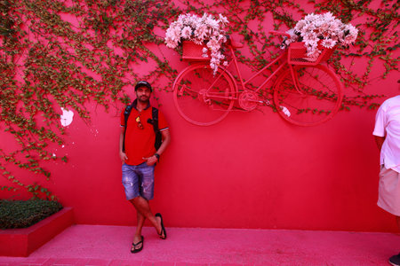 Pink street with green plants, windows, street lams, decorative caribbean entourage in old city victorian style, Puerto plata, DRの写真素材