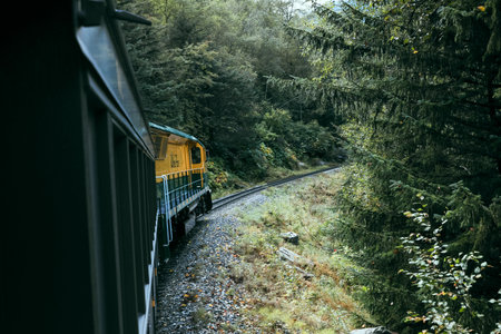 Alaska train White Pass and Yukon route railroad railway ride on old transport rails in Alaska, USA....