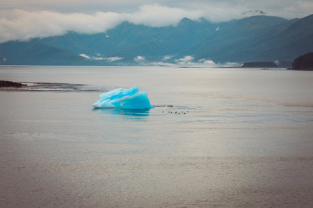 Tracy Arm Fjord Iceberg. Iceberg in Tracy Arm Fjord, Alaska.の写真素材
