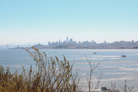 San Francisco City Downtown, Californiaの写真素材