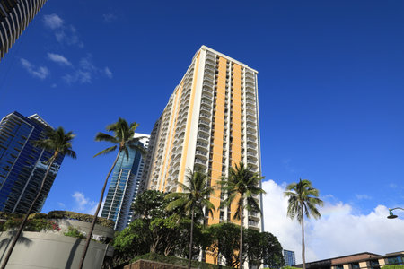 Honolulu, USA. January 30, 2025. Bustling street in Honolulu, Hawaii, featuring tall buildings, palm trees, vehicles, pedestrians, and a high rise with circular windows.の写真素材