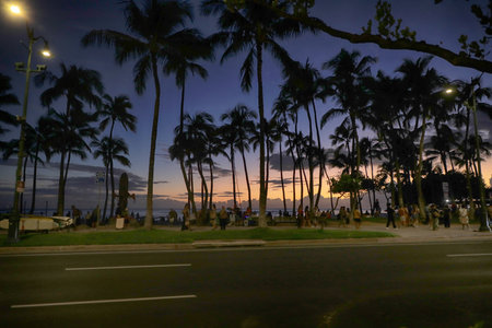 View of the Waikiki beach at sunset, Honolulu, Hawaii. Copy space for textの写真素材