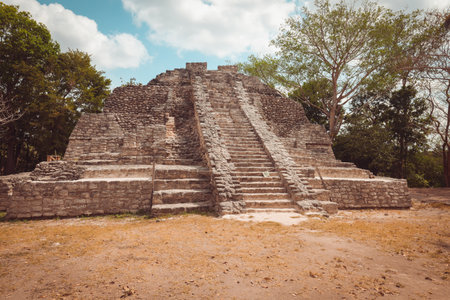 Chacchoben Myan ruins early city at the Cruise destination Costa Maya Mexico in Central America is a popular stopの写真素材