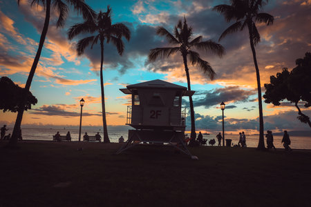 Waikiki Beach, Hawaii, lifeguard stand and sunbathers with palm treesの写真素材