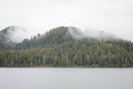 Cruise ship at a port in Juneau, Alaska with snow capped mountain and low lying fog in the...