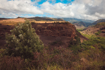 Waipoo Falls drops 800 feet to the bottom of Waimea Canyon on Kauai, Hawaiiの写真素材