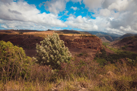 Aerial view of Waimea Canyon, Kauai, Hawaii, USAの写真素材