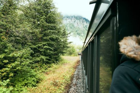 A scenic moment from the White Pass and Yukon Route, showcasing the historic train curving along the...