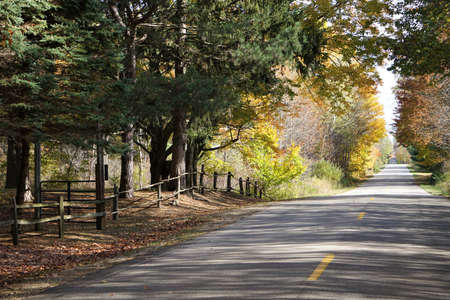 Country Road in Autumnの写真素材