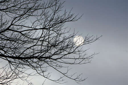 Stormy Sun Scapeの写真素材