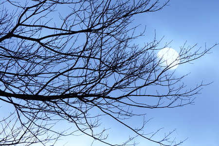 Blue Sun Scapeの写真素材