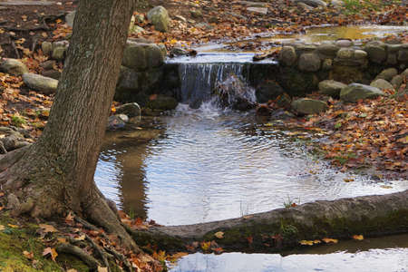 Small Fall in Autumnの写真素材