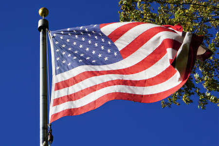 Old Gloryの写真素材