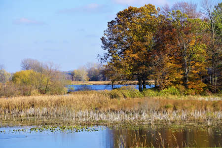 On the Edge of the Riverの写真素材