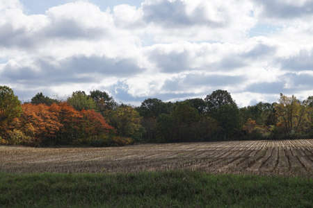 Heavy Clouds on an Autumn Dayの写真素材