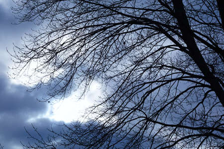 Stormy Sky in Autumnの写真素材