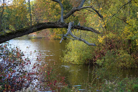 Small Lake in Rural Americaの写真素材