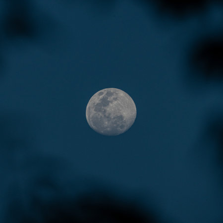 Shot of the moon taken before the night turned dark.