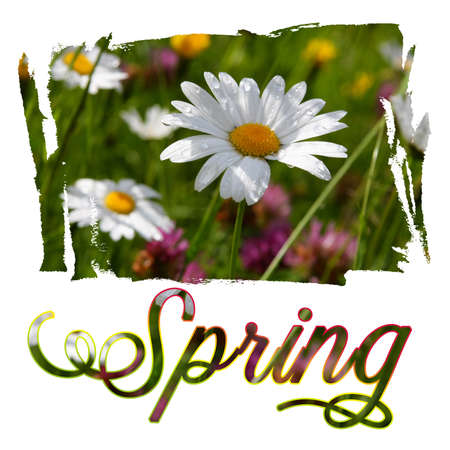 Springの写真素材