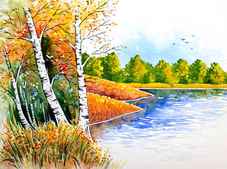 Birches at the lakeの写真素材