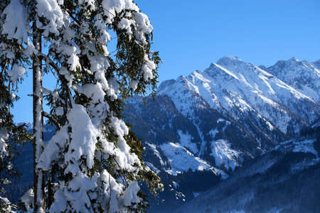 winter dreamの写真素材