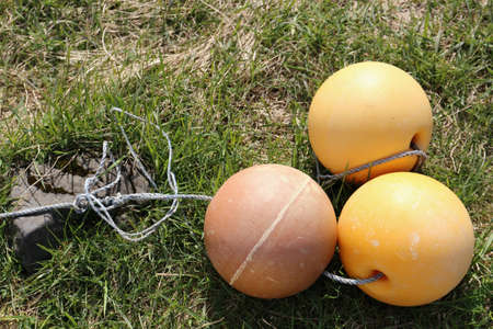 3 buoys on a robe, green grass