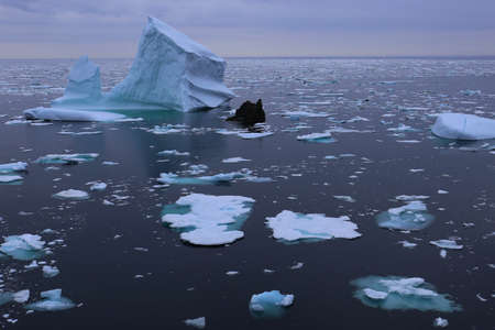 iceberg and drift ice in the north