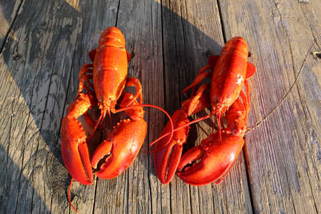 delicious lobster on a wooden table, cookedの写真素材