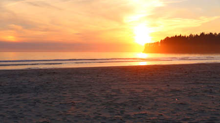 sunset in Canada sea, forest and firの写真素材