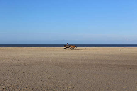 Gaucho at the Beach in Uruguay - April 2017の写真素材