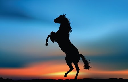 Wild horse at the sunset. Illustration cardの写真素材