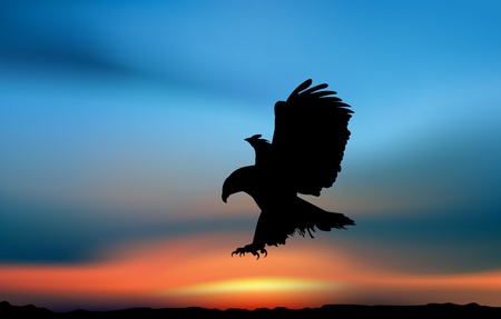 Eagle is hunting in the sunset. Artistic illustrationの写真素材