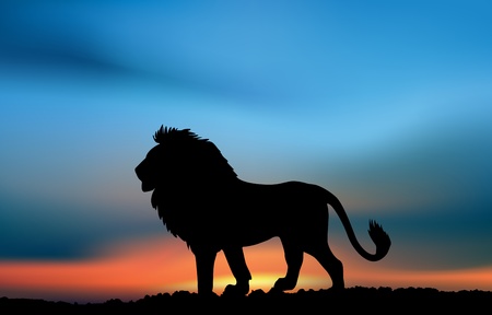 African lion in the sunset. Illustrationの写真素材