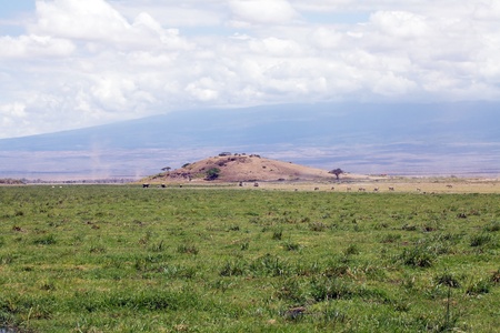 Marsh at the Amboseli National Park, Kenya, with vehicle safari elephants, zebras and the slope of the Kilimanjaro mountain in the backgroundの写真素材