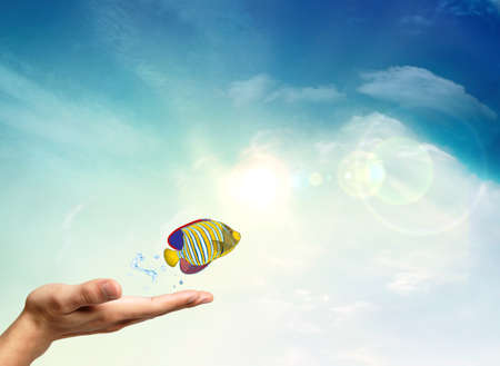 Tropical fish in a hand with sky and clouds backgroundの写真素材