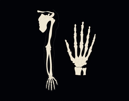 Harm and hand on the dark backgroundのイラスト素材